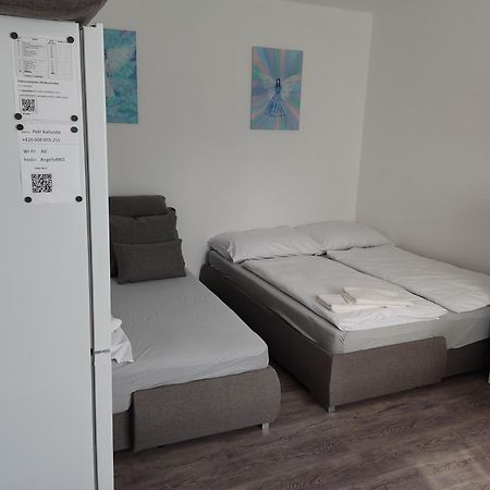 Angel Apartman Nové Město nad Metují エクステリア 写真
