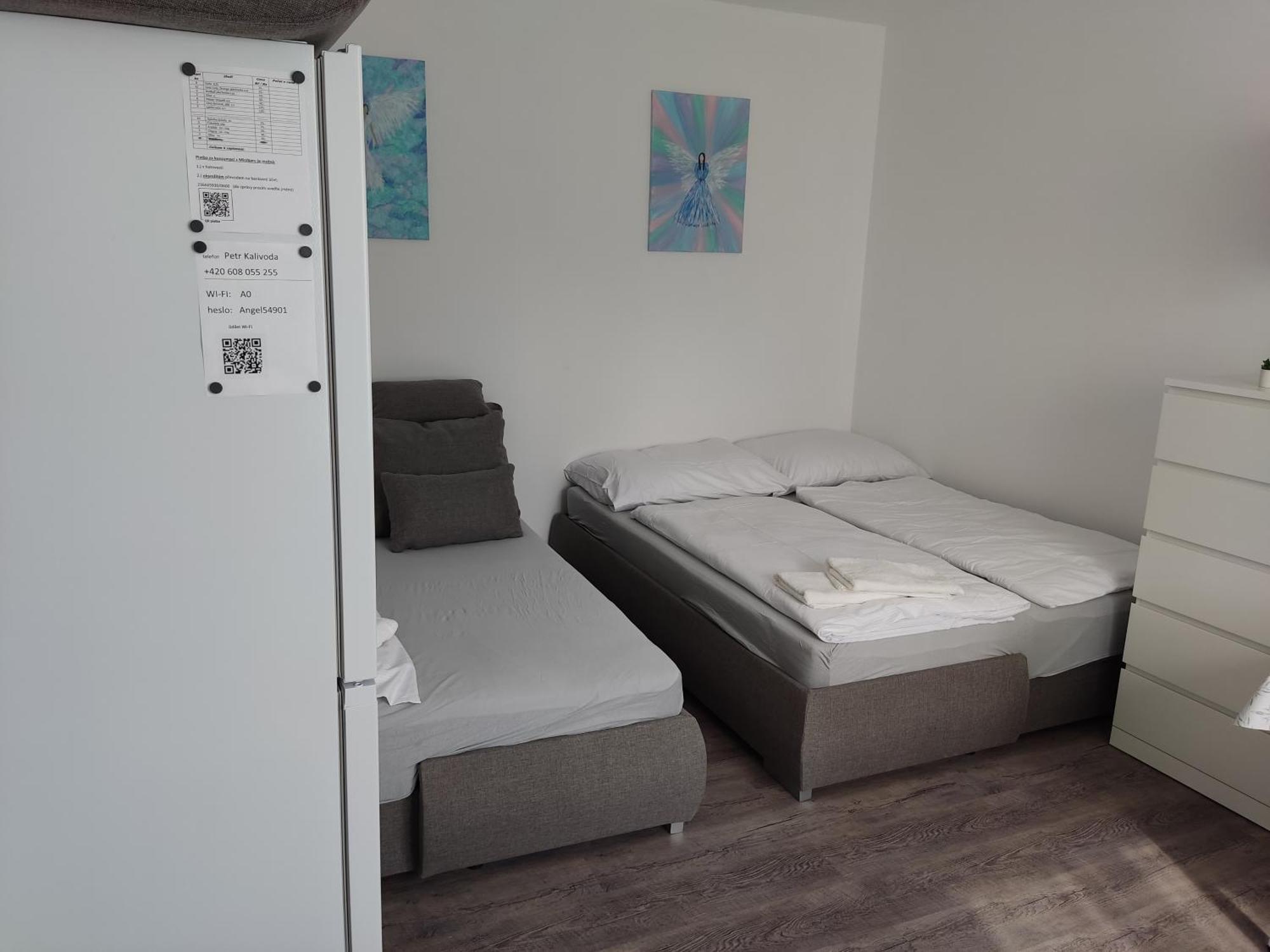 Angel Apartman Nové Město nad Metují エクステリア 写真